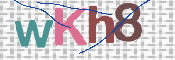 Kontrolní text