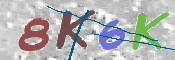 Kontrolní text