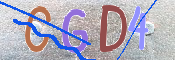 Kontrolní text