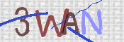 Kontrolní text