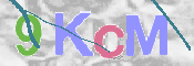 Kontrolní text