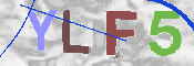 Kontrolní text
