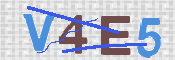 Kontrolní text