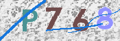 Kontrolní text