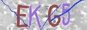 Kontrolní text