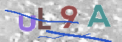 Kontrolní text