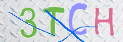 Kontrolní text