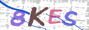 Kontrolní text