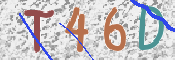 Kontrolní text