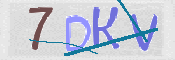 Kontrolní text